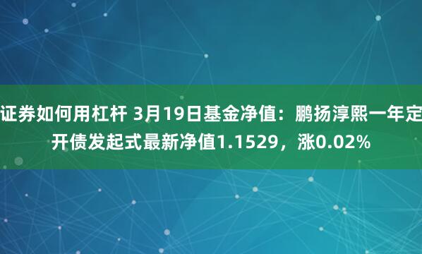 证券如何用杠杆 3月19日基金净值：鹏扬淳熙一年定开债发起式最新净值1.1529，涨0.02%