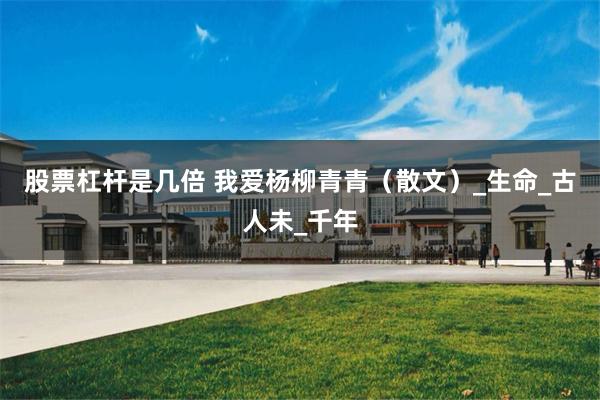 股票杠杆是几倍 我爱杨柳青青（散文）_生命_古人未_千年