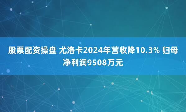 股票配资操盘 尤洛卡2024年营收降10.3% 归母净利润9508万元