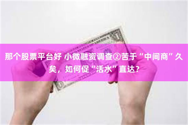 那个股票平台好 小微融资调查②苦于“中间商”久矣，如何促“活水”直达？