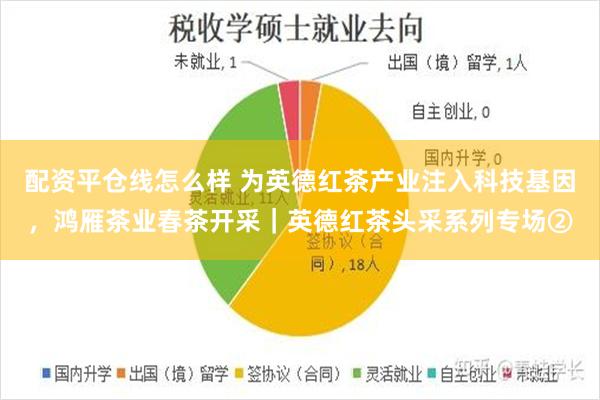 配资平仓线怎么样 为英德红茶产业注入科技基因，鸿雁茶业春茶开采｜英德红茶头采系列专场②