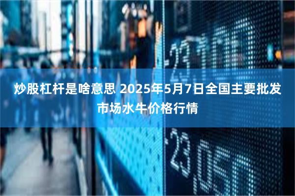 炒股杠杆是啥意思 2025年5月7日全国主要批发市场水牛价格行情