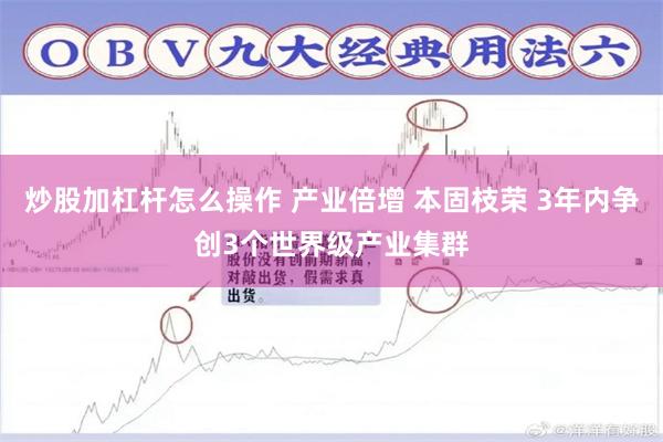 炒股加杠杆怎么操作 产业倍增 本固枝荣 3年内争创3个世界级产业集群