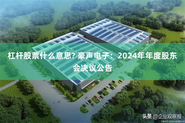 杠杆股票什么意思? 豪声电子：2024年年度股东会决议公告