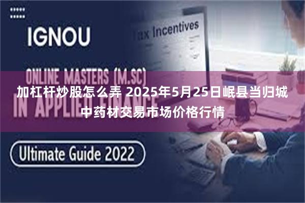 加杠杆炒股怎么弄 2025年5月25日岷县当归城中药材交易市场价格行情