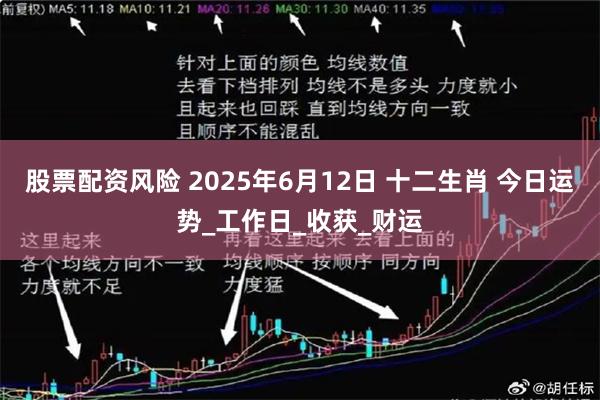 股票配资风险 2025年6月12日 十二生肖 今日运势_工作日_收获_财运