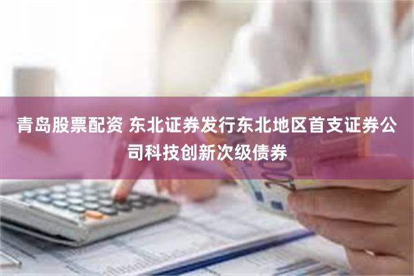 青岛股票配资 东北证券发行东北地区首支证券公司科技创新次级债券