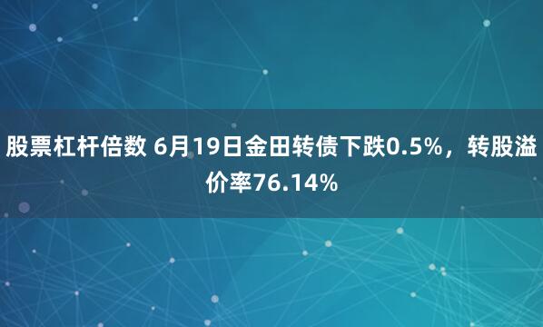 股票杠杆倍数 6月19日金田转债下跌0.5%，转股溢价率76.14%