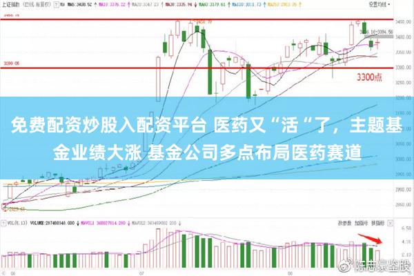 免费配资炒股入配资平台 医药又“活“了，主题基金业绩大涨 基金公司多点布局医药赛道
